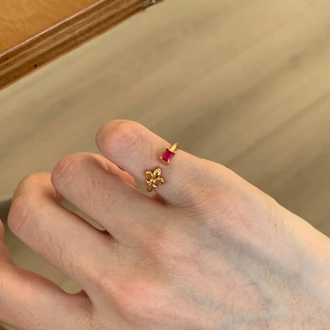 S925 Sterling Silber Ring Gold Iris Rubin Schwanzring Vintage Nischenring – Detail 7
