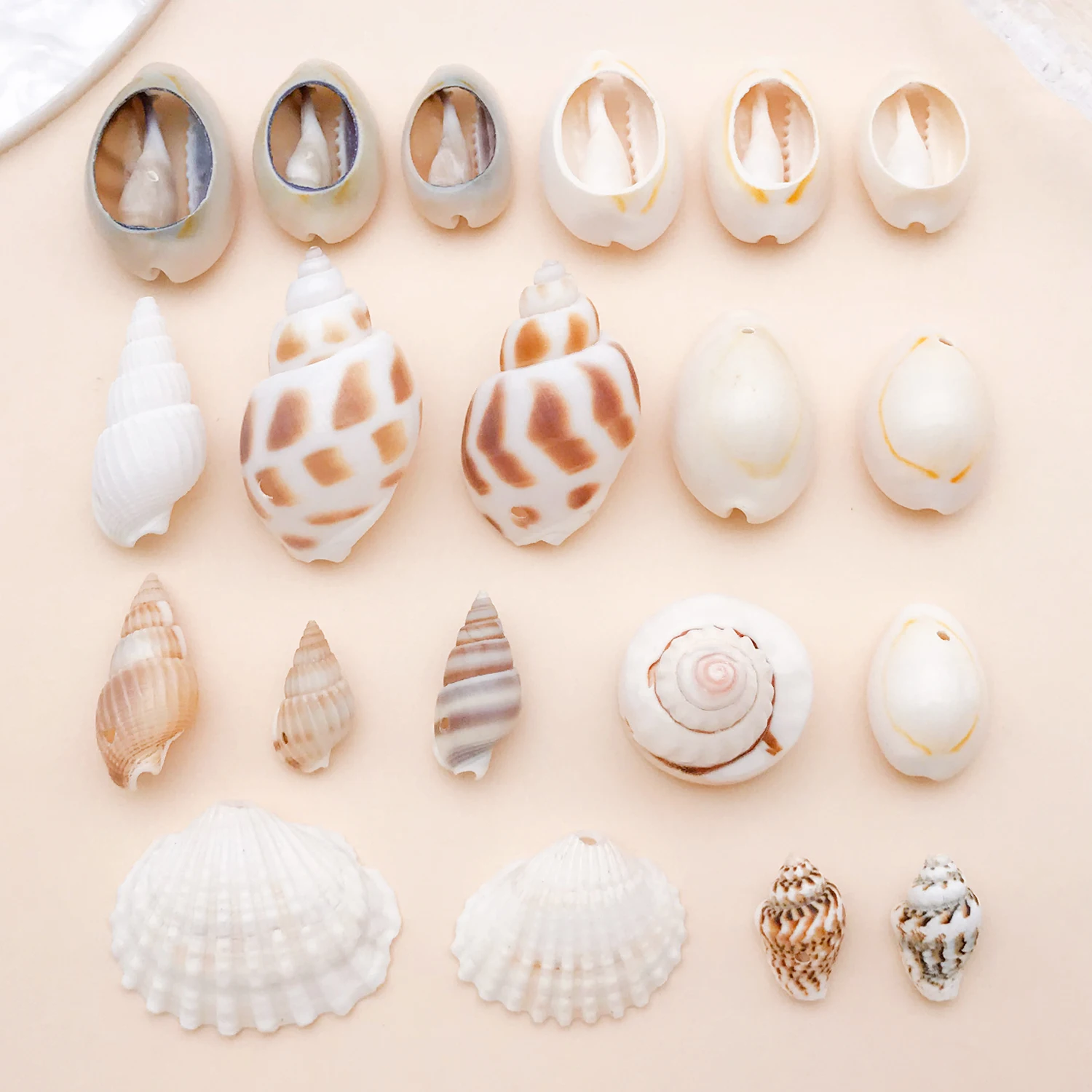 20g Natural Sea Shell Charms Pendants Tiny Conch Cowrie Shel