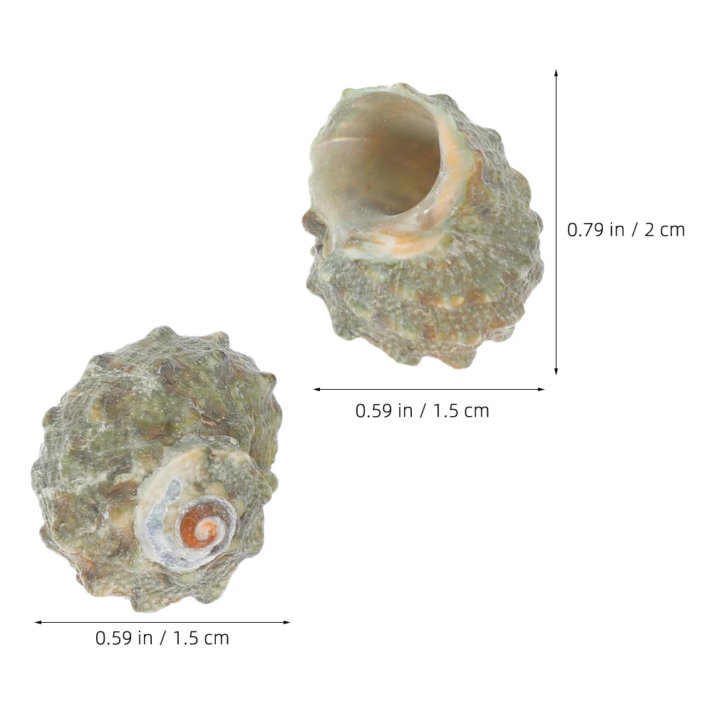 

100pcs Aquarium Decoration Natural Crab Shells Fish Tank Ornament Desktop Craft Diy Conch Adorn Conch Decor For Landscape