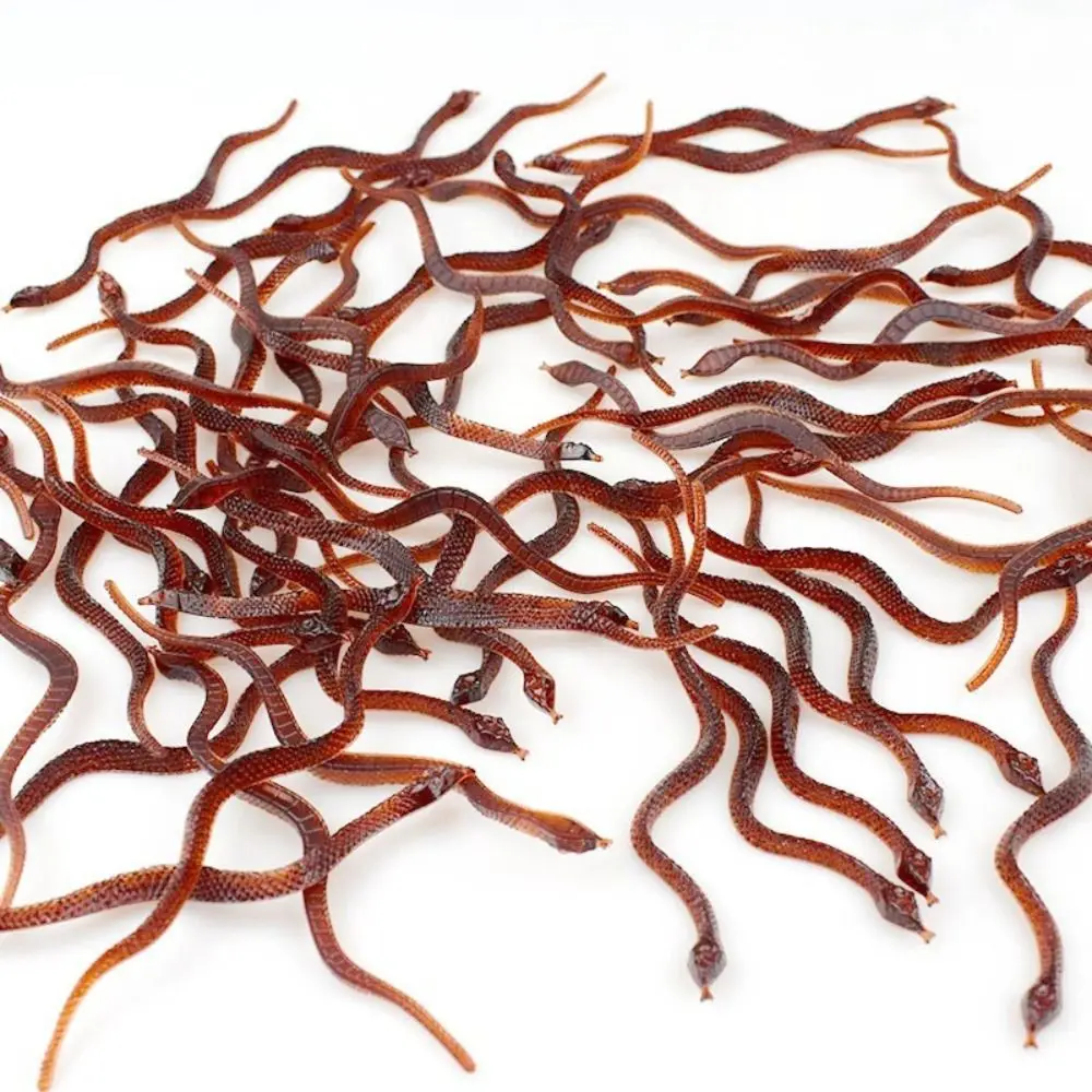 20 szt. Wysokiej jakości gumowe symulacje skorpionów, miękkie PVC, sztuczne karaluchy, rekwizyty do żartów, prezent, symulowane owady