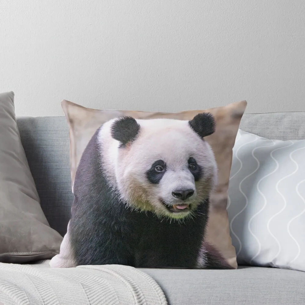 

Giant Panda Xiao Qi Ji at the National Zoo Throw Pillow Pillow Cover pillows decor home pillow