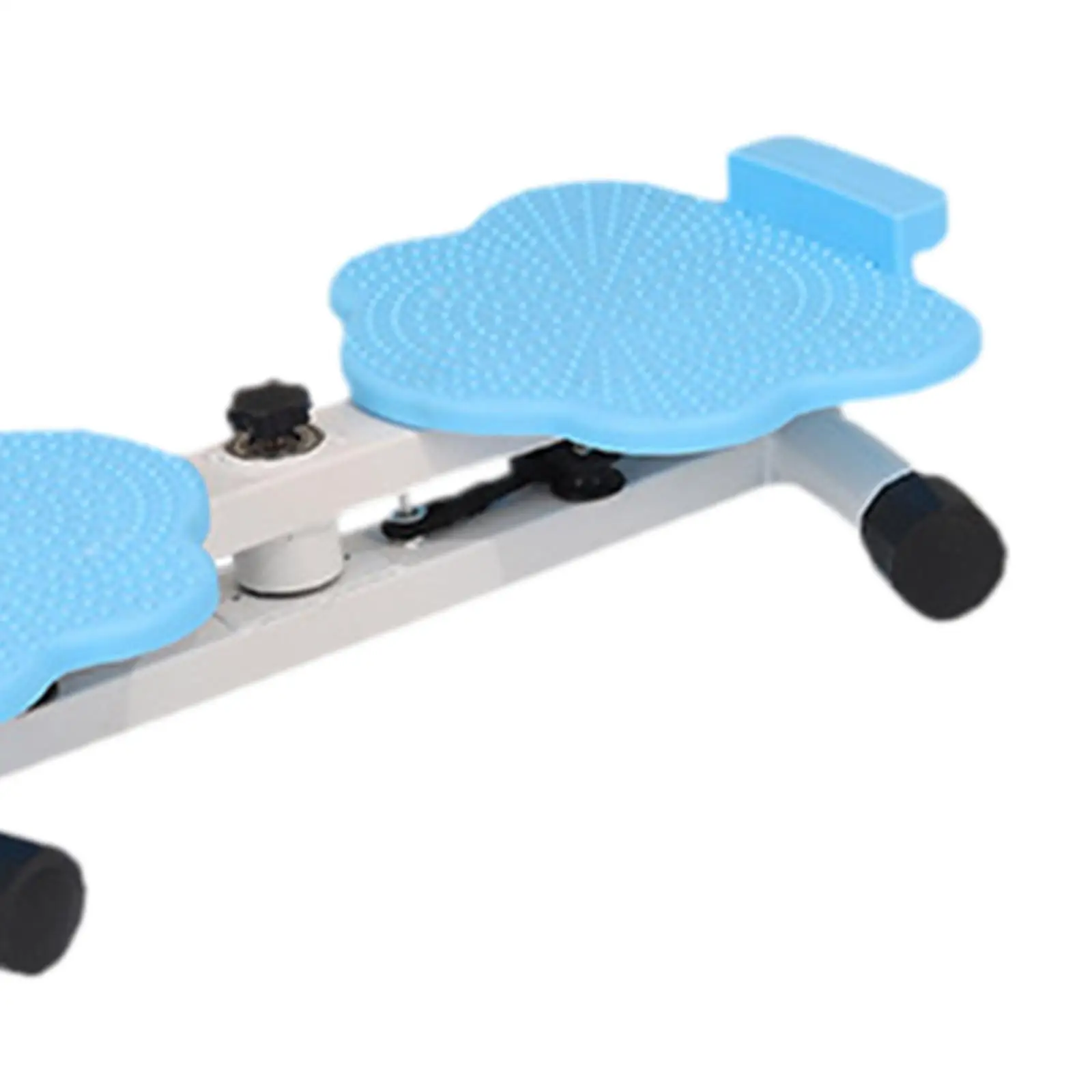 Waist Twist Disc Board 5