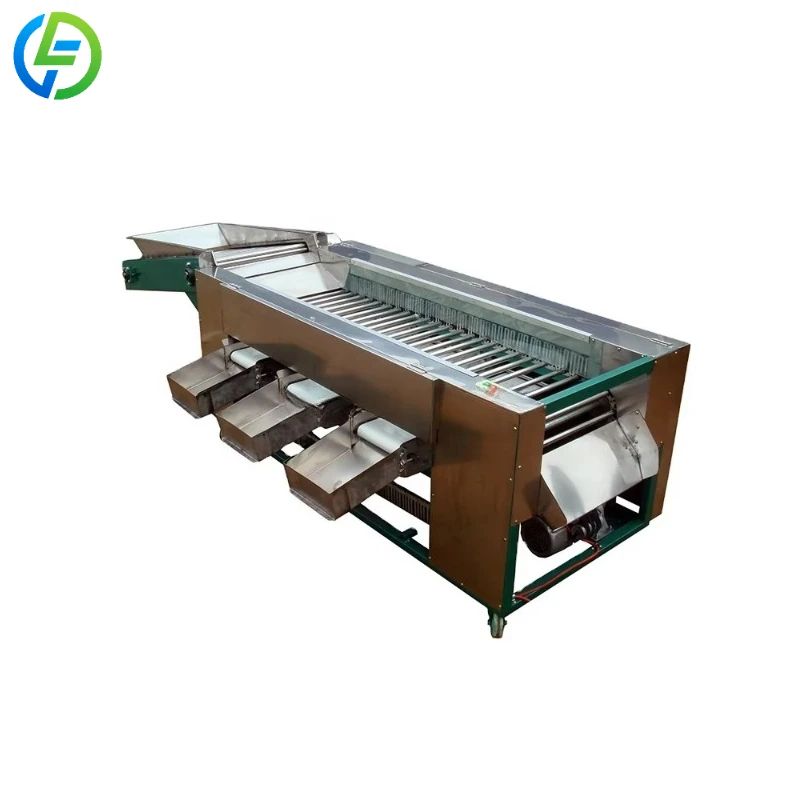 Customized Stainless Steel Olives Sorting Machine by Size/sorter for Green Olives/machine to Grade Olives by Size