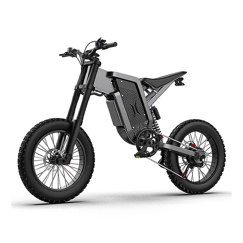 

20-дюймовый электровелосипед с толстыми шинами, 2000 Вт, 48 В, 35 Ач, литиевая батарея, алюминиевый сплав, двойные гидравлические тормоза, полная подвеска, X21 EU