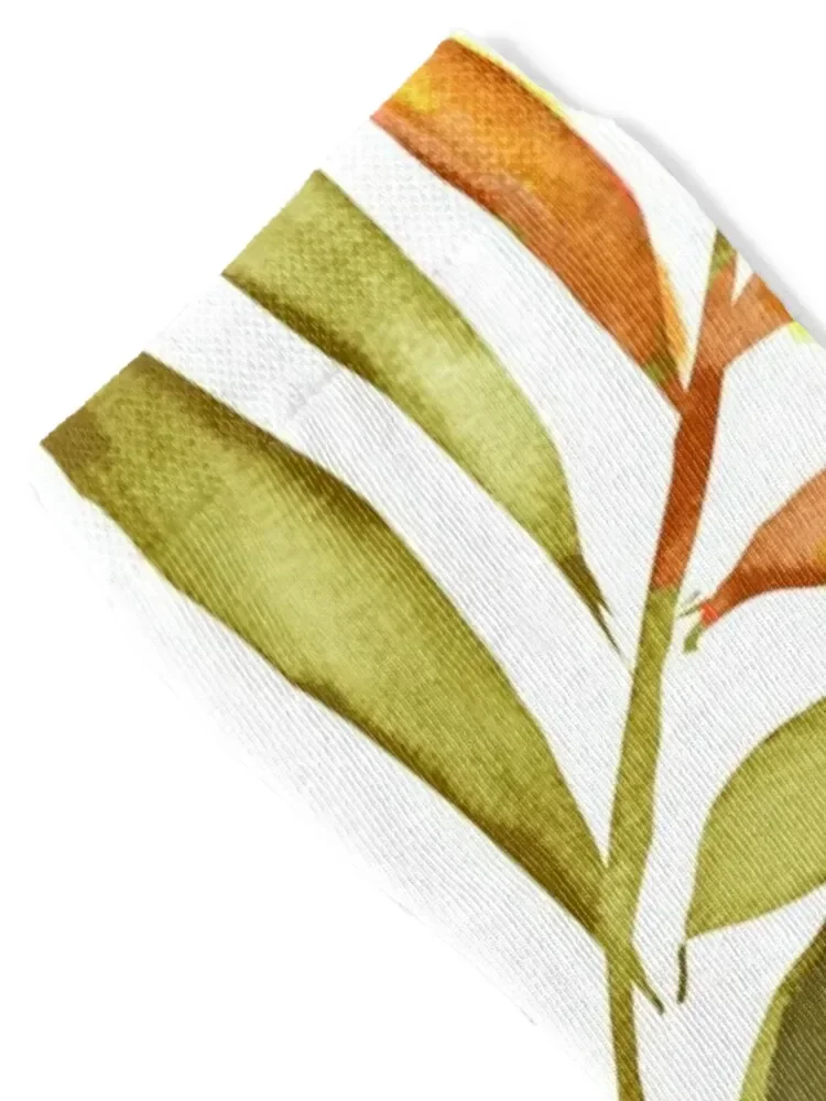 Aloha Tropical Hawaiian Floral Watercolor Socks gifts men cotton high quality moving stockings golf Boy Socks Women's