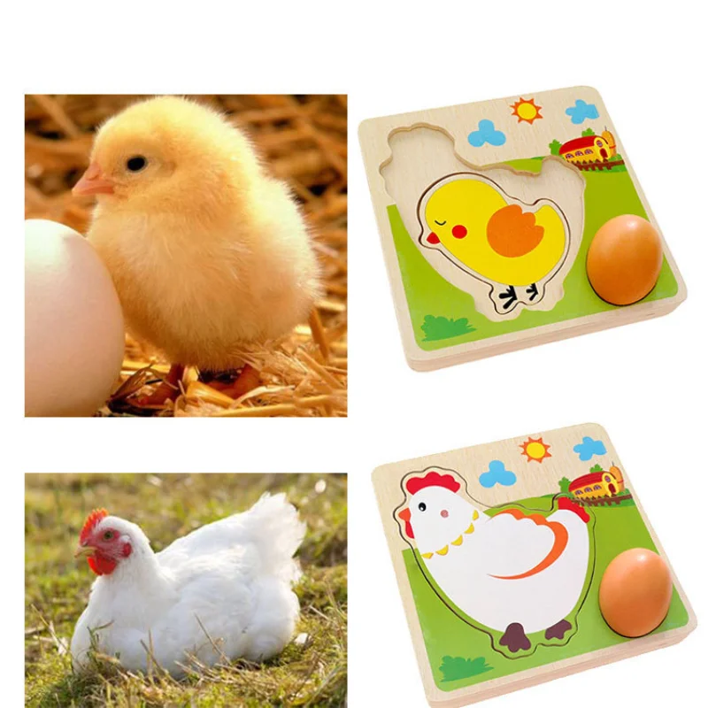 Wood 3D Puzzle Chick Grow Hens Laying Eggs Process Jigsaw Learning Education Montessori Toys