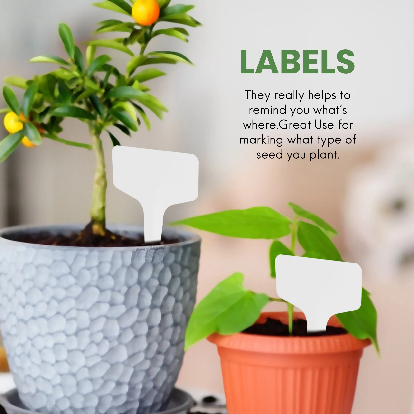 100 pcs Garden Labels gardening plant classification sorting sign tag ticket plastic writing plate board Plug in card white