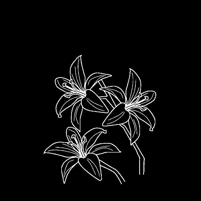 

Beautiful Daffodil Car Sticker Fashion Car Window Decoration Personality Pvc Waterproof Decal Black/white, 15cm*17cm