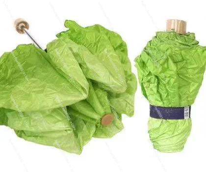 Уникальный Зонт из салата, яркие особенности в дождливые дни, модная индивидуальность, интересный практичный