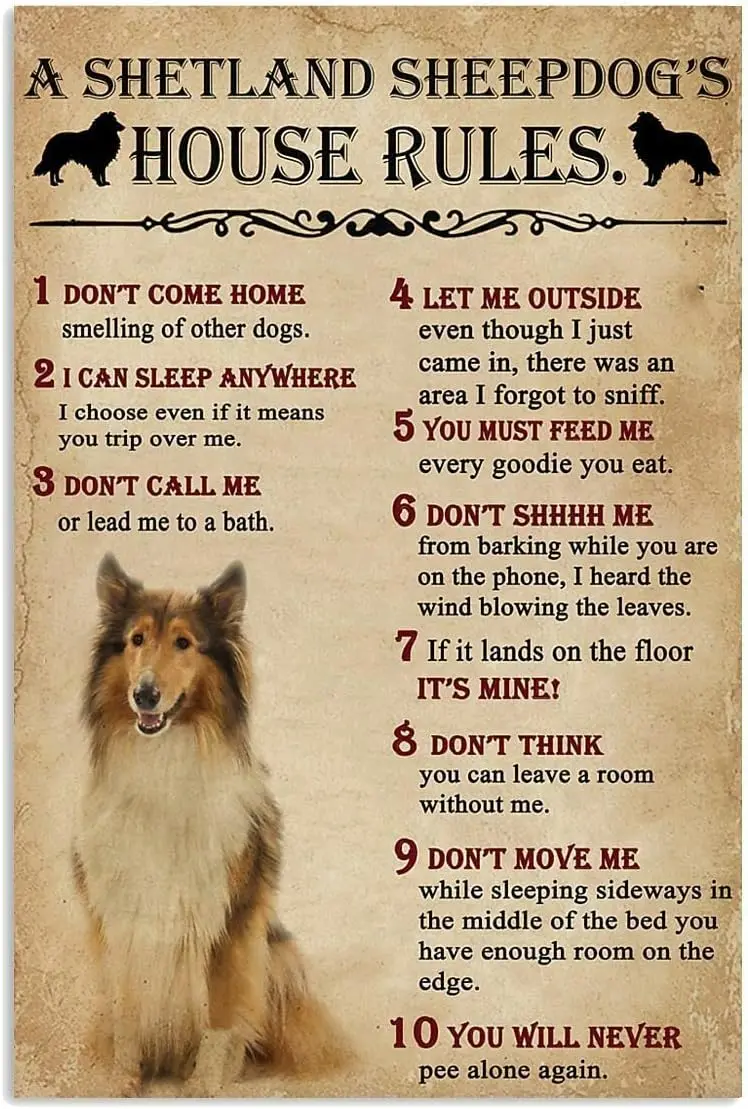 Metal Sign A Shetland Sheepdog House Rules Sign Vintage Funny Sign Retro Aluminum Tin Signs for Home Farm Garden Outdoor Garage