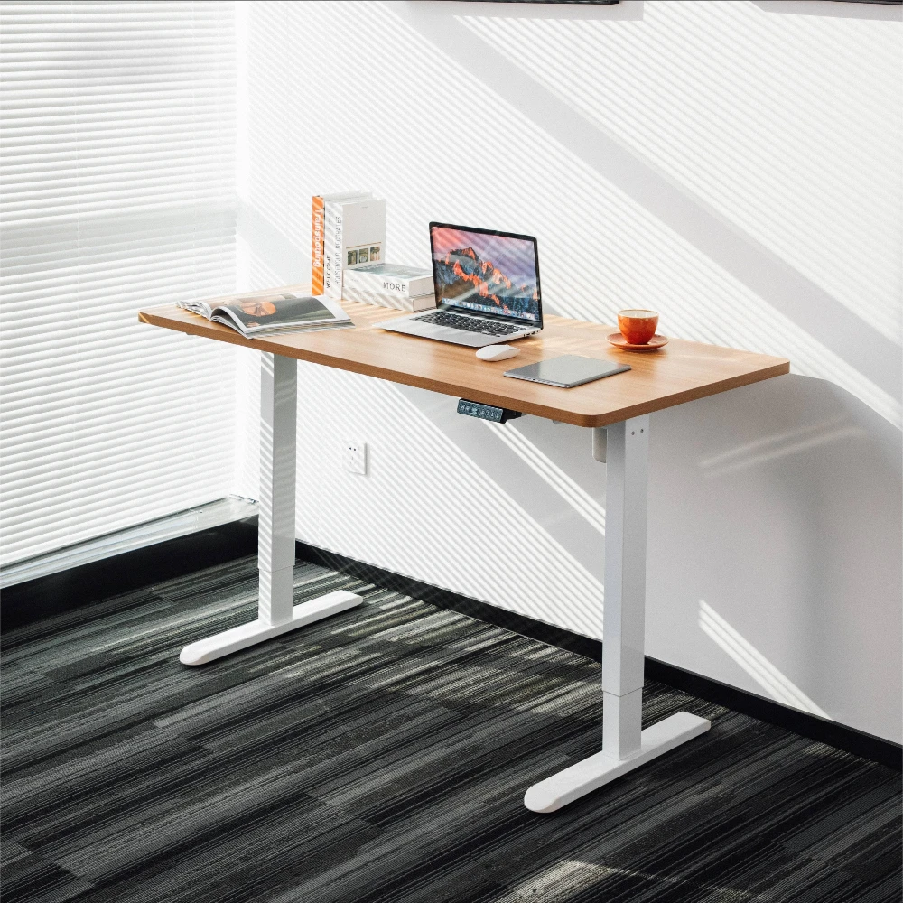 

&c Budget-Friendly Electric Height-Adjustable Computer Desk with Modern Design Single Motor Lift Mechanism Low Price