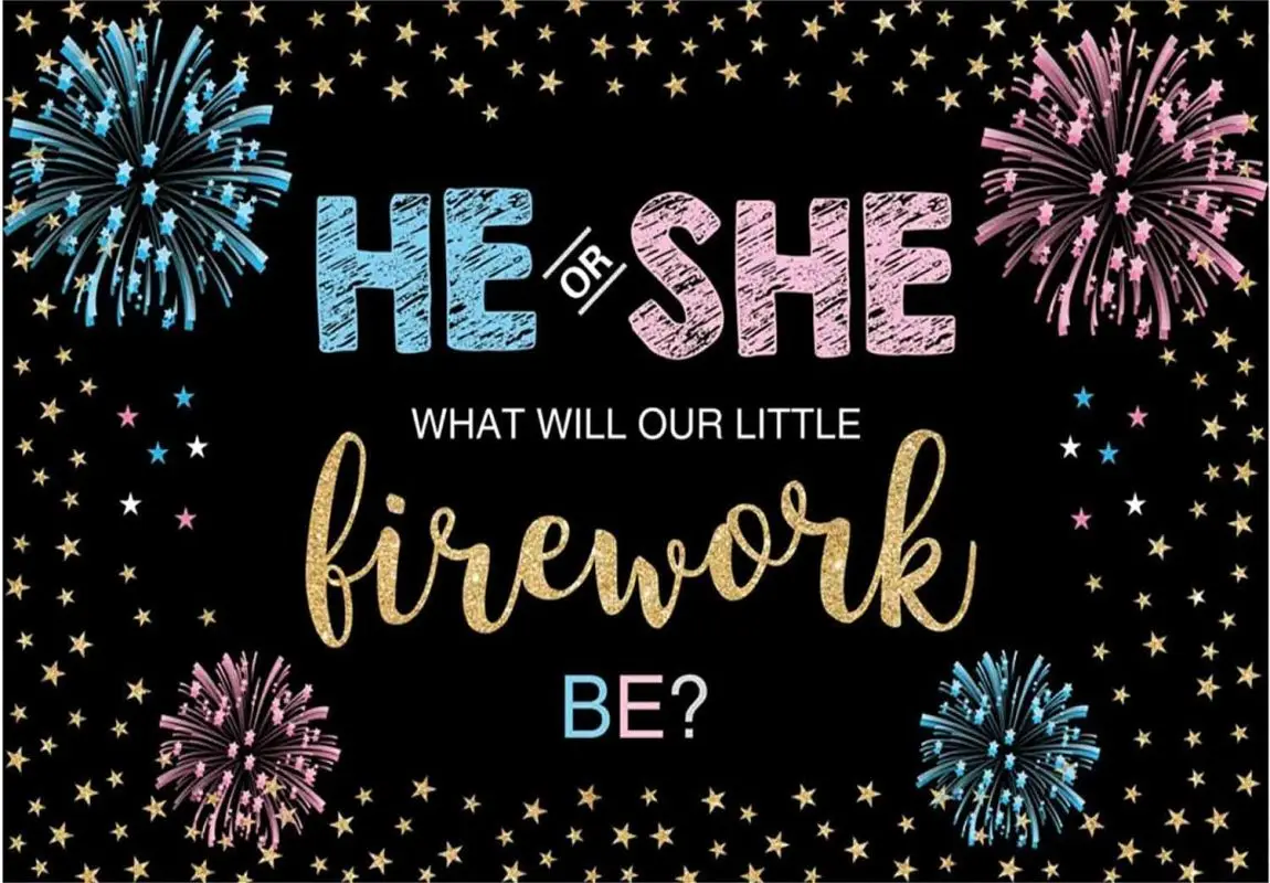Gender Reveal Backdrop He or She Party Blue or Pink Boy or Girl Banner Decoration Photography Background Photobooth Supplies