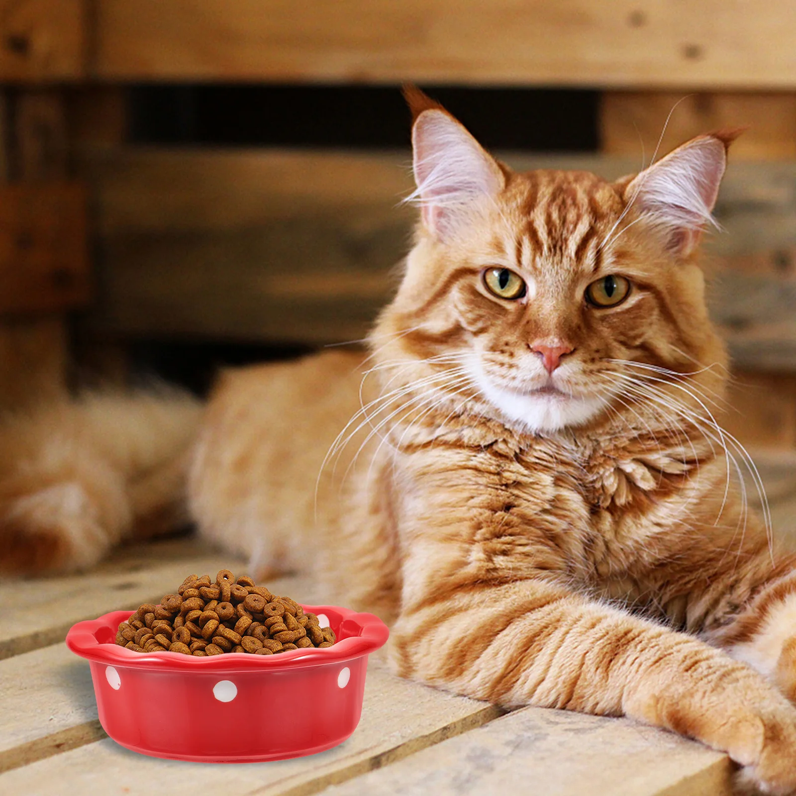 

1Pcs Christmas Series Elk Pattern Ceramic Pet Bowl - Non-Tip Design for Cat Dog Feeding, Smooth Surface Easy Clean Pet Food