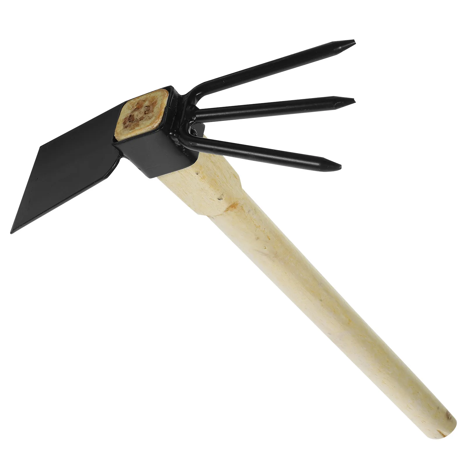 Multi-Functional Wo…