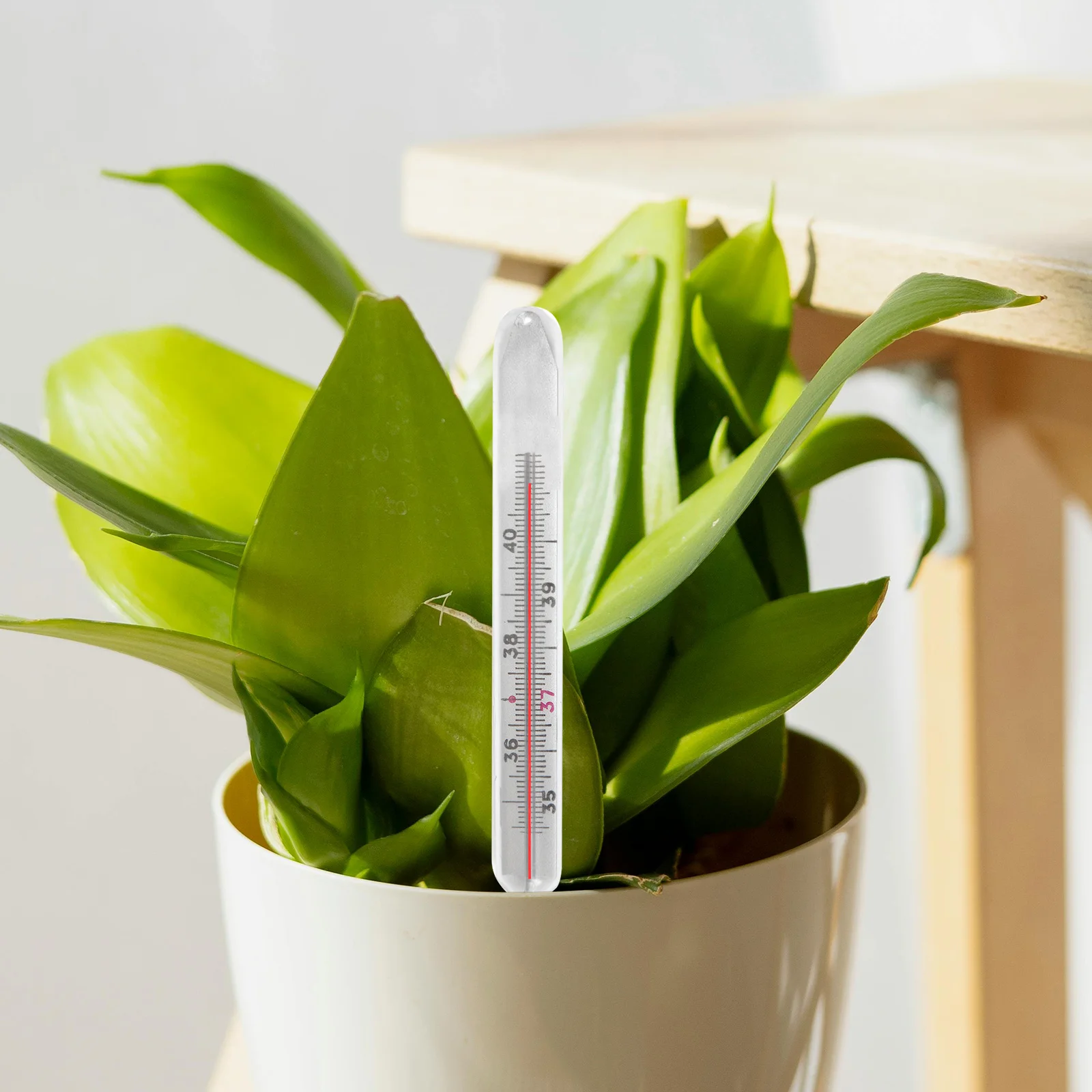 

10 Pcs Water Level Indicator Accessories Plastic Float Gauge for Flower Pot Plant Moisture Meter Indoor Gardening Tools