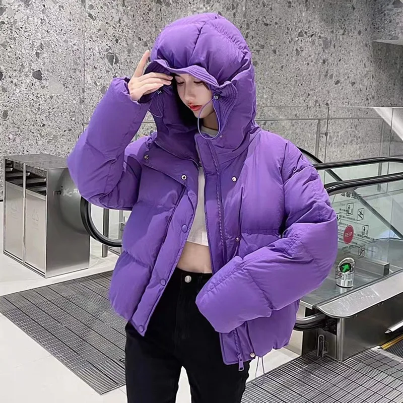 Women's Down Jacket High-end Winter Coat Warm Hooded White Duck Down New Korean Short Tops Winter Coats for Women Puffer Jacket