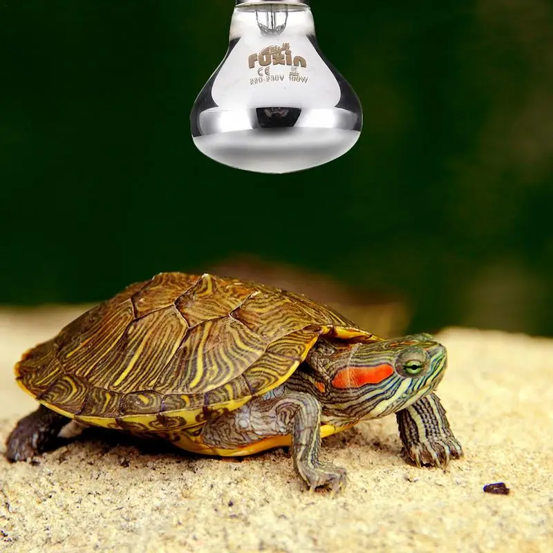 Pet Heating Lamp E27 Day Night For Amphibian Snake Lamp Heat Reptile Bulb Light 25W 50W 100W AC220-230V Hot Winter for Pet ﻿