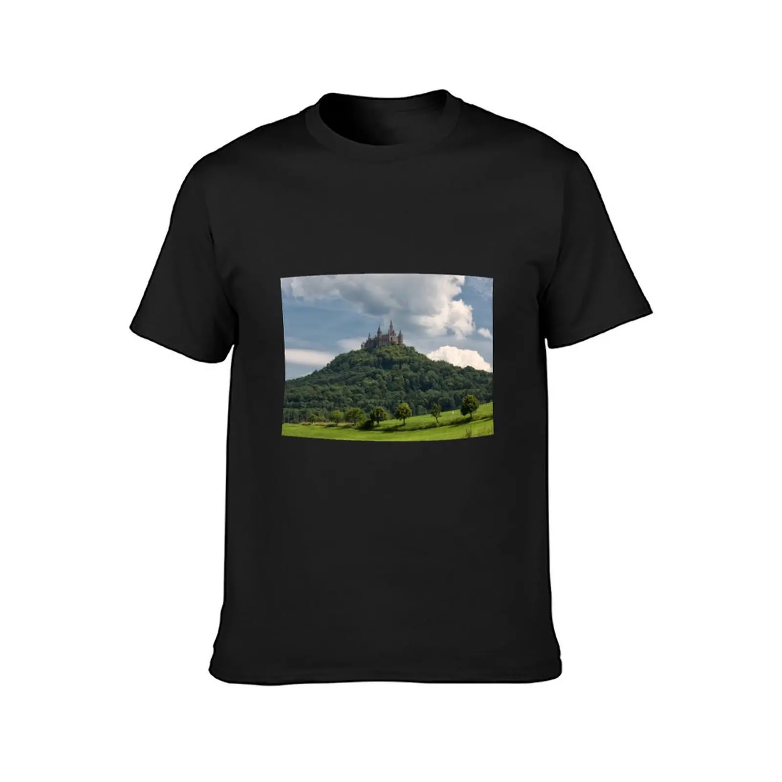 Hohenzollern Castle T-Shirt for a boy kawaii clothes men graphic t shirts