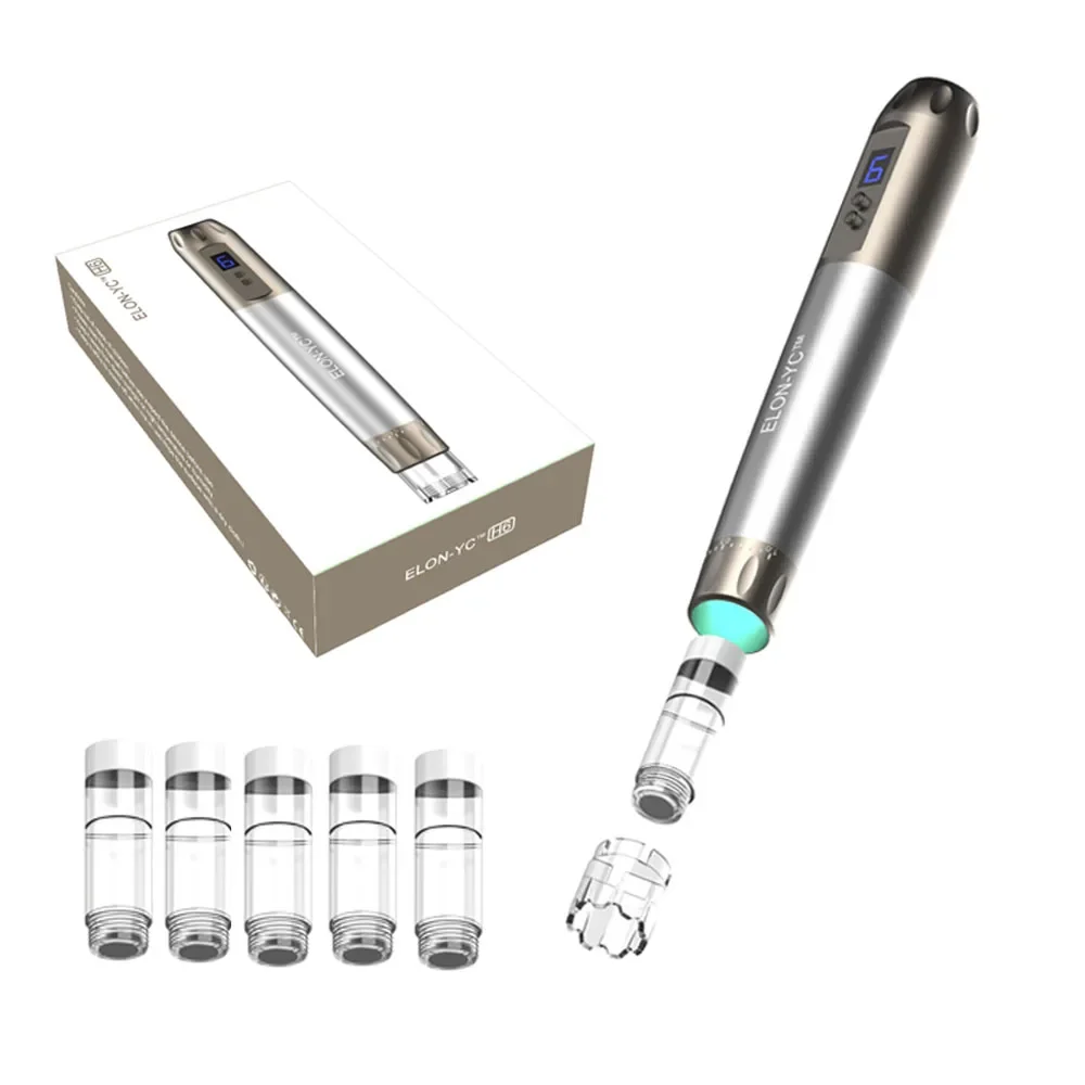 Stylo à micro-aiguilles professionnel sans fil Hydra H6 avec 5 pièces, adhérence des rides grossières, stylo Derma, appareil de beauté pour les