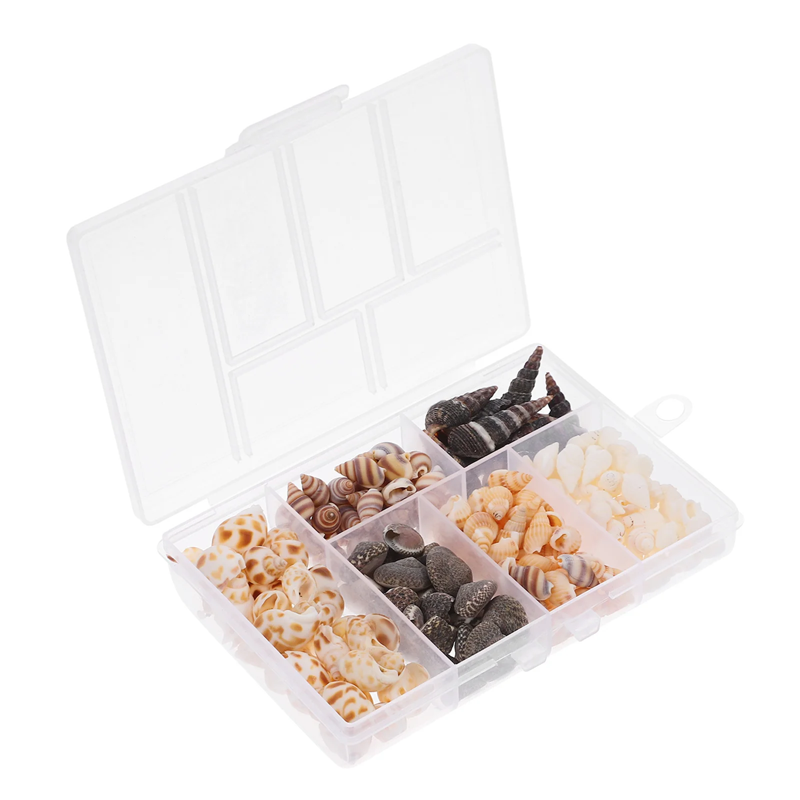 Conchas marinas, 100g, tema de playa, manualidades DIY, rellenos de jarrón para pecera, decoraciones para fiesta en el océano, conchas de vieira para manualidades