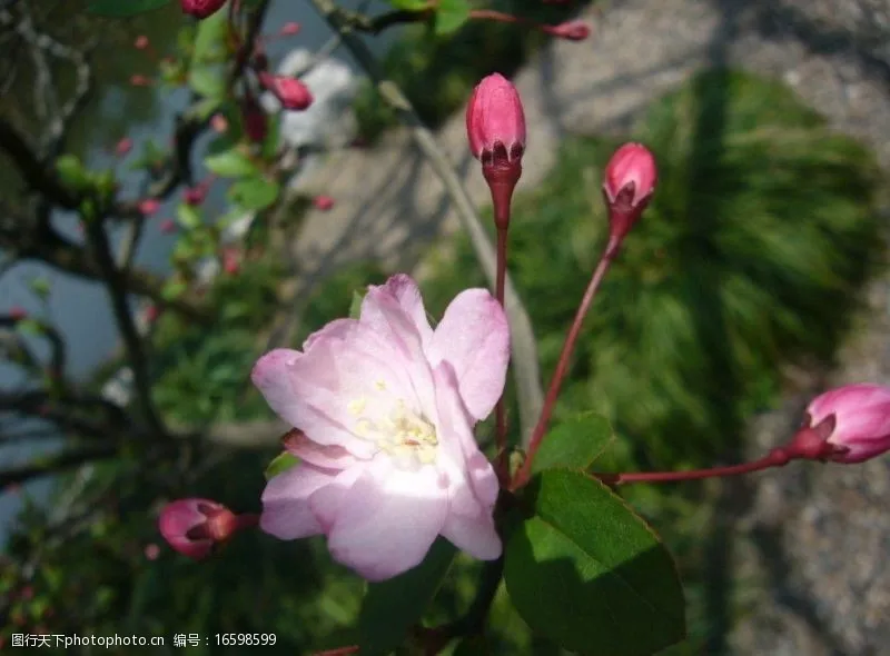 

4pcs Metal Wheel Hub 1.9 Beadlock Wheel Rim For 1:10 Rc Crawler Axial Scx10 Scx10 Ii 90046 Axi03007 D90 Yikong Trax Trx4