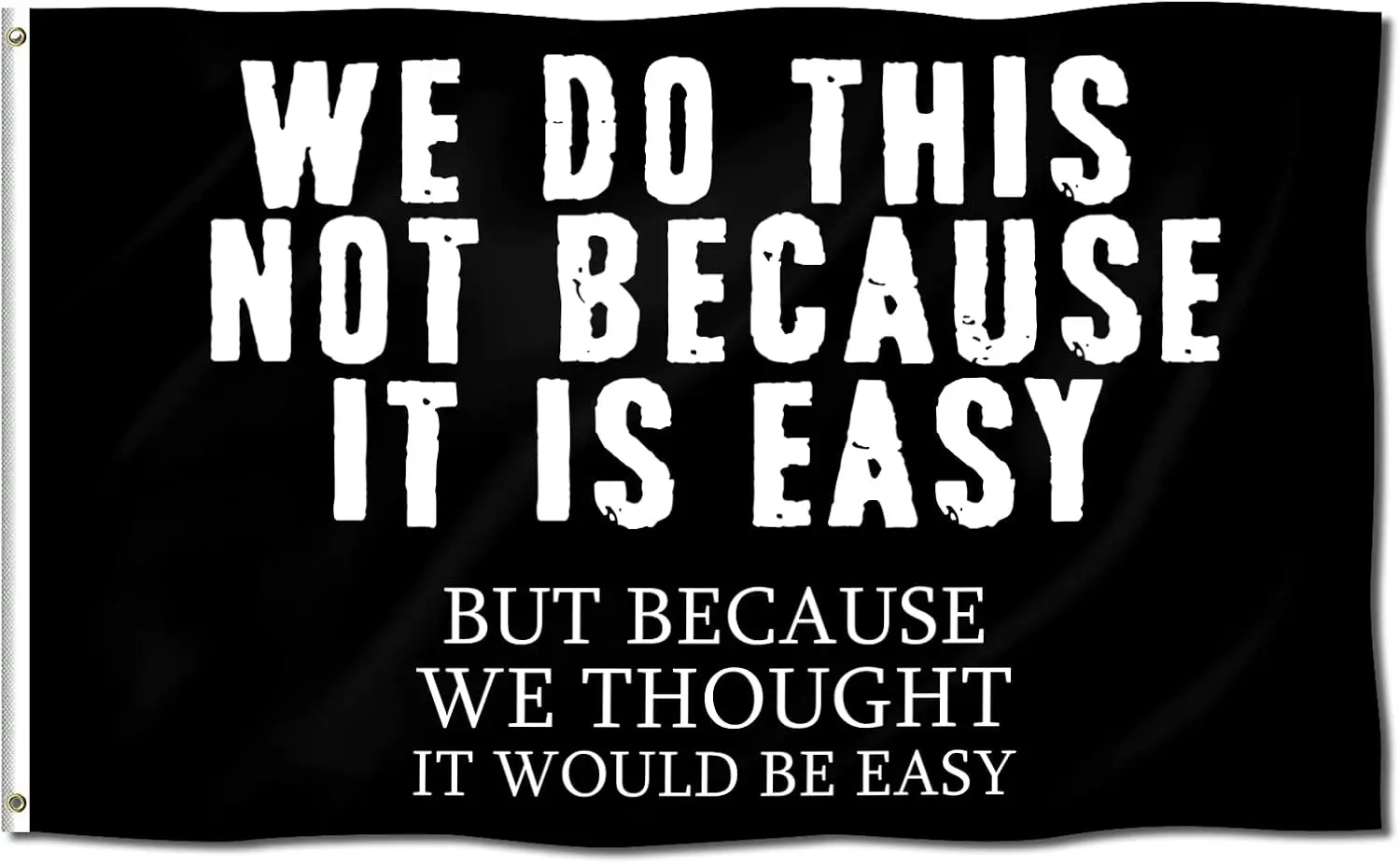WE DO THIS NOT BECAUSE IT IS EASY Double-Sided Funny Poster Durable Man Cave Wall With Brass Grommets 3X5 Feet Flag For College