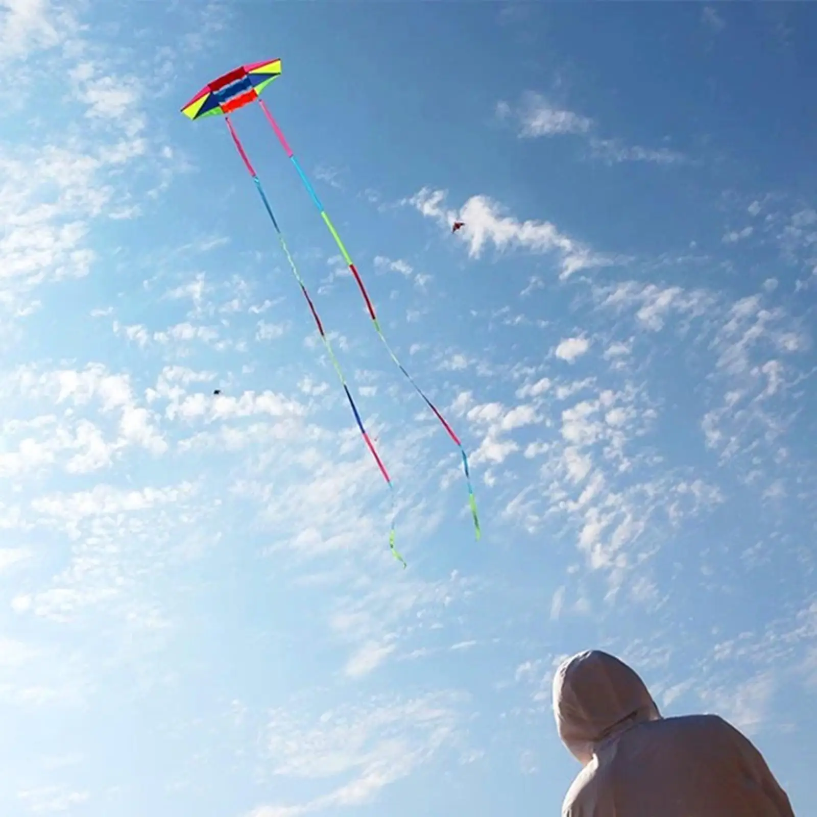 Aquilone Colorato con Coda Lunga, Aquilone da Spiaggia per Divertimento all'Aperto in Parco, Giardino, Prato