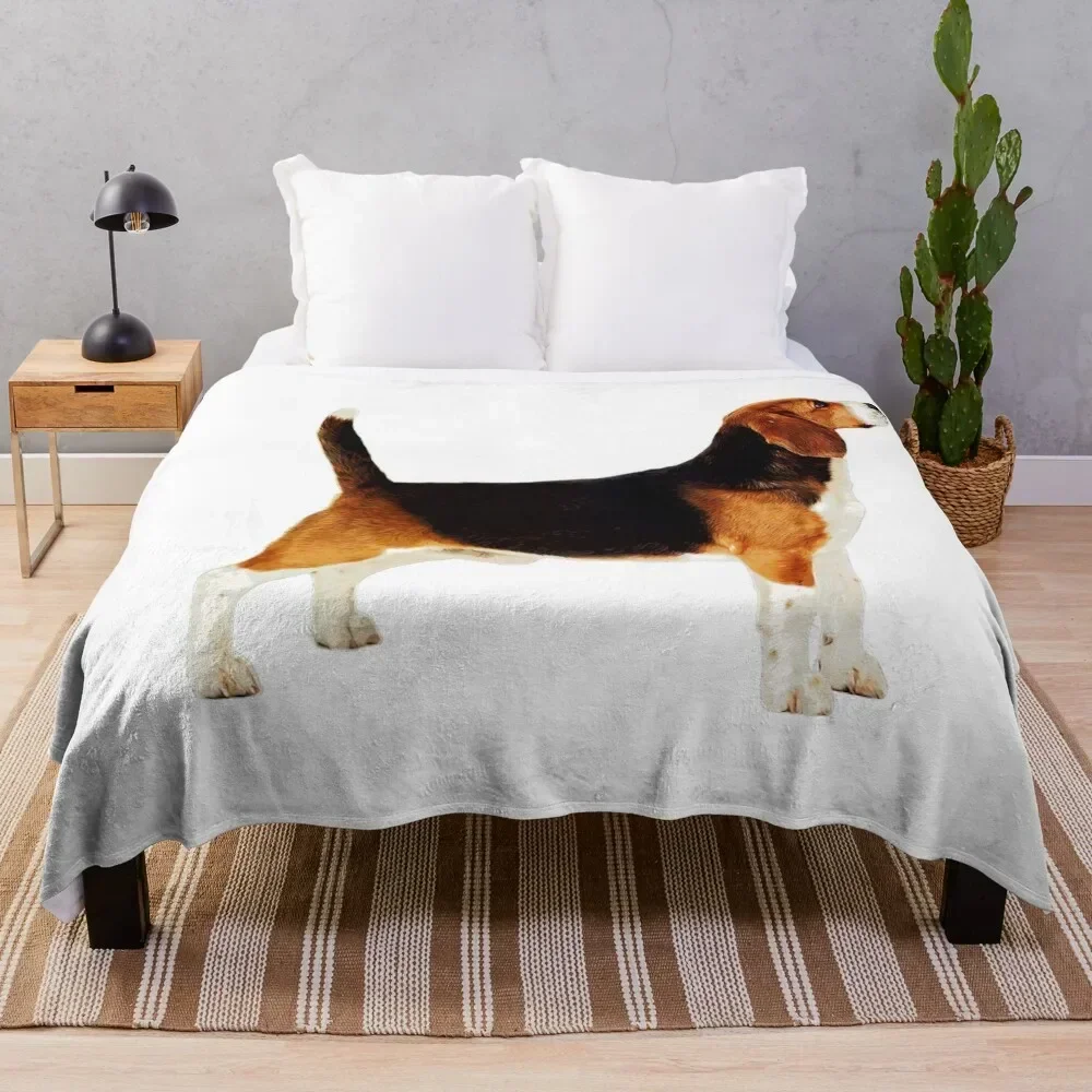 Cute Stacked Beagle Throw Blanket Fashion Sofas Cute Plaid blankets ands Blankets