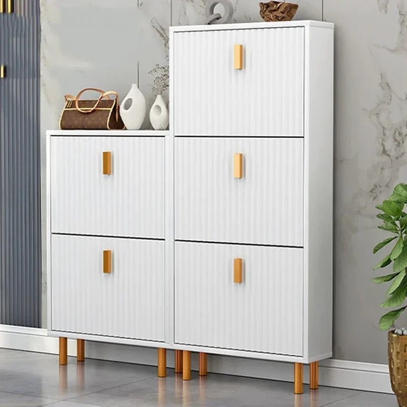 

Роскошный скандинавский шкаф для хранения обуви, пылезащитный, узкий, содержит мебель для гостиной Articulos Para El Hogar, коробка для хранения