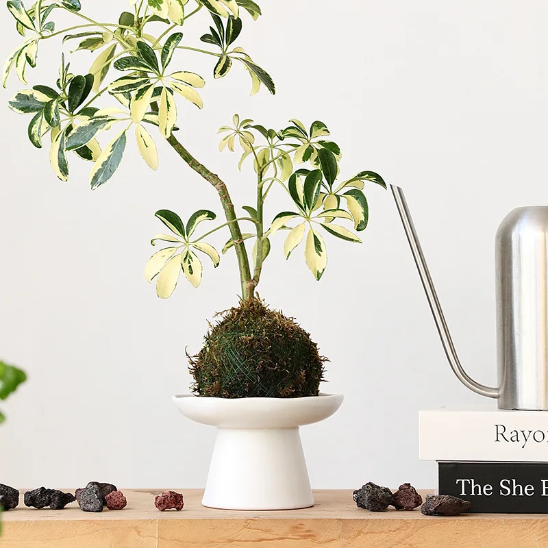 Ceramic Flower Pot High Foot Wabi Sabi Style Japanese Zen Bonsai Planter for Tea Table Decor