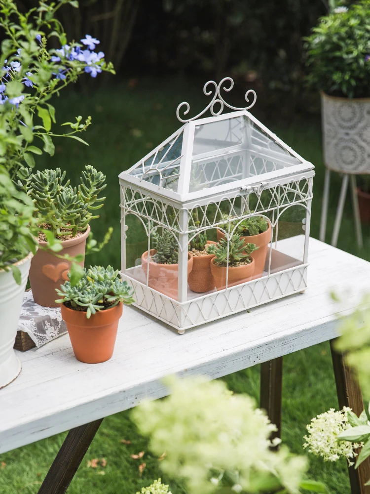 French White Metal Glass Terrarium Plant Cage Greenhouse