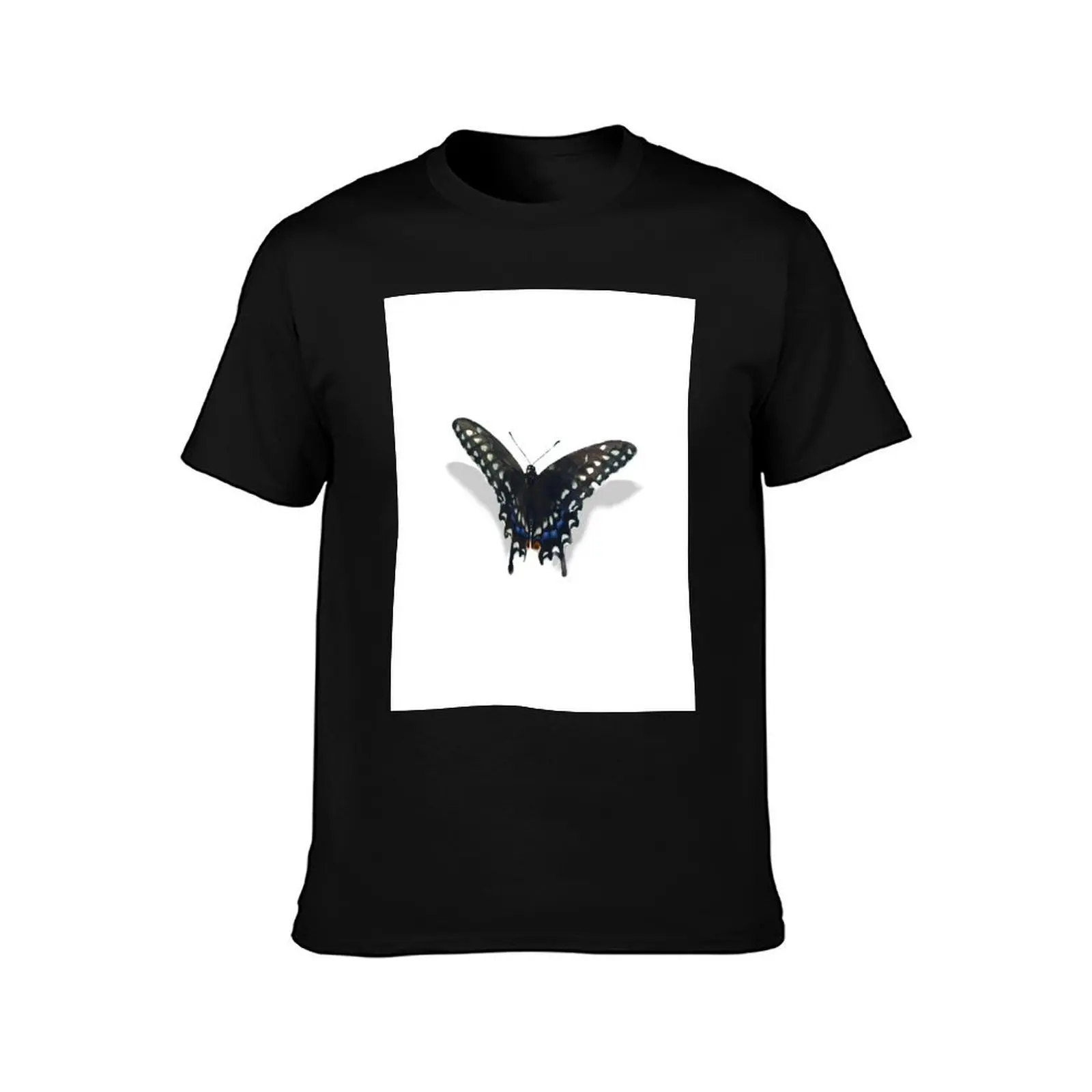 Black Swallowtail w/ shadow T-Shirt Minimalist Graphic Tee Shirt T-Shirt