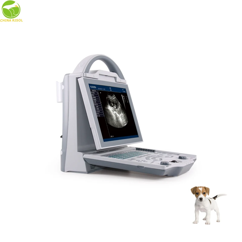 Veterinary Ultrasound veterinary Clinic Equipment Kaixin KX5600V Portable Veterinary Ultrasound with linear rectal probe