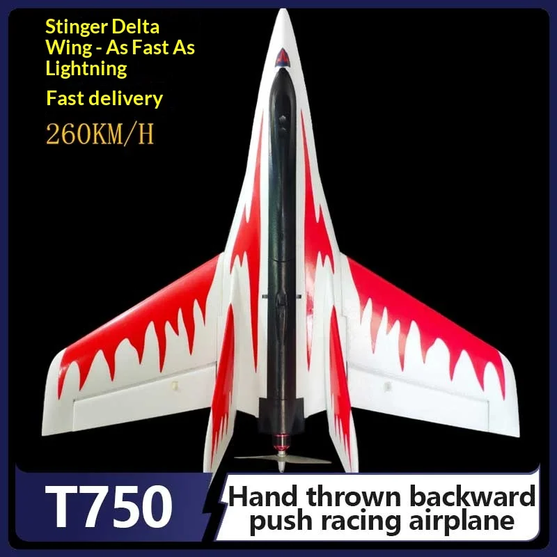 Stinger Wing-avión teledirigido de alta velocidad, modelo T750 T780 Epo, lanzamiento manual, avión de carreras de empuje trasero