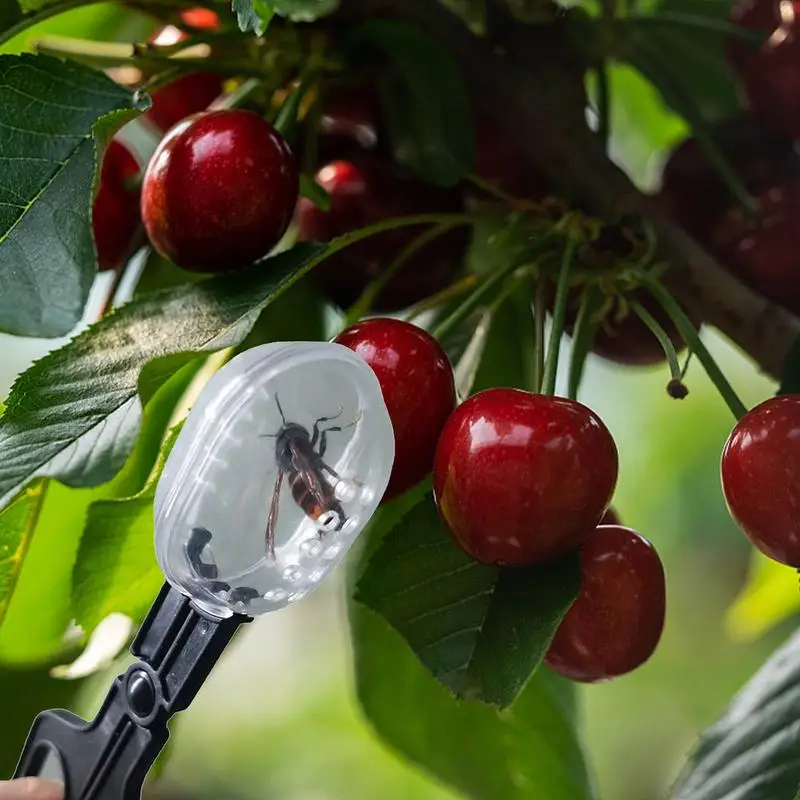 Queen Bee Catcher Cage Clips Beekeeping Tools Reusable Queen Bee Catcher Lightweight Catching Tool Swarm Traps For Outdoor