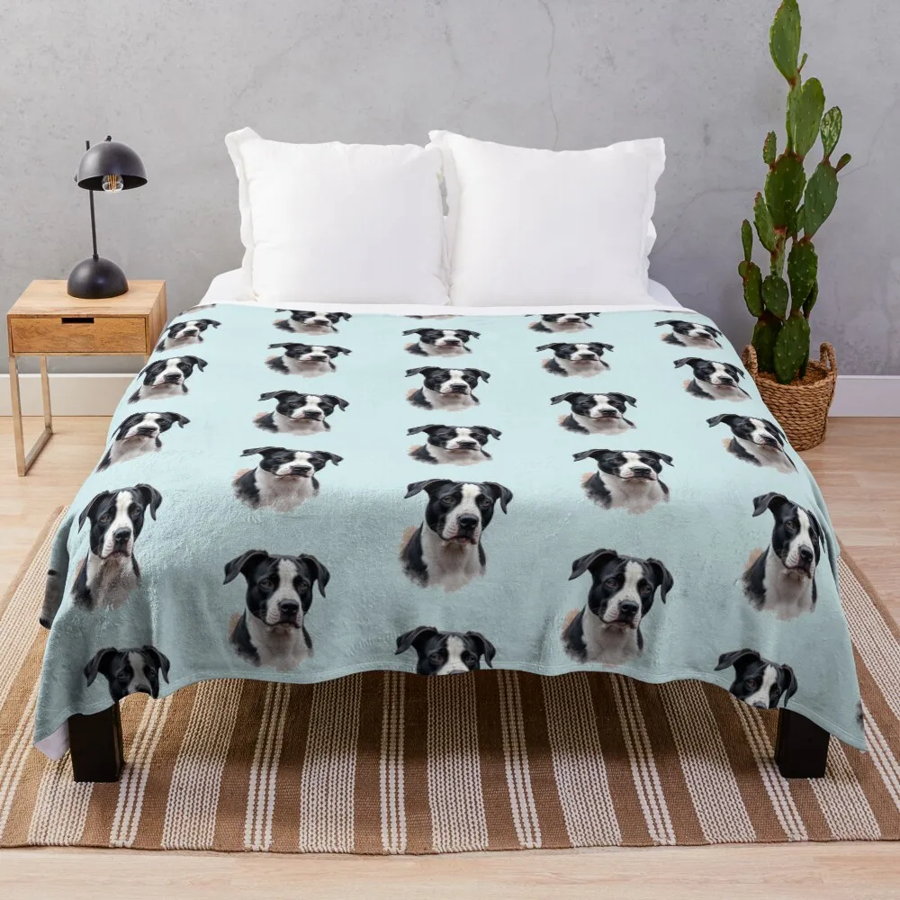 

Black and White Pitbull Dog color art Throw Blanket Year Round Soft Comfortable Blanket for Home