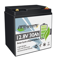 TCBWORTH 12V 30Ah Lithium LiFePO4 Battery,4000+ Cycles Rechargeable Battery for Kids Scooter,Lighting,Power Wheel,Fish Finder
