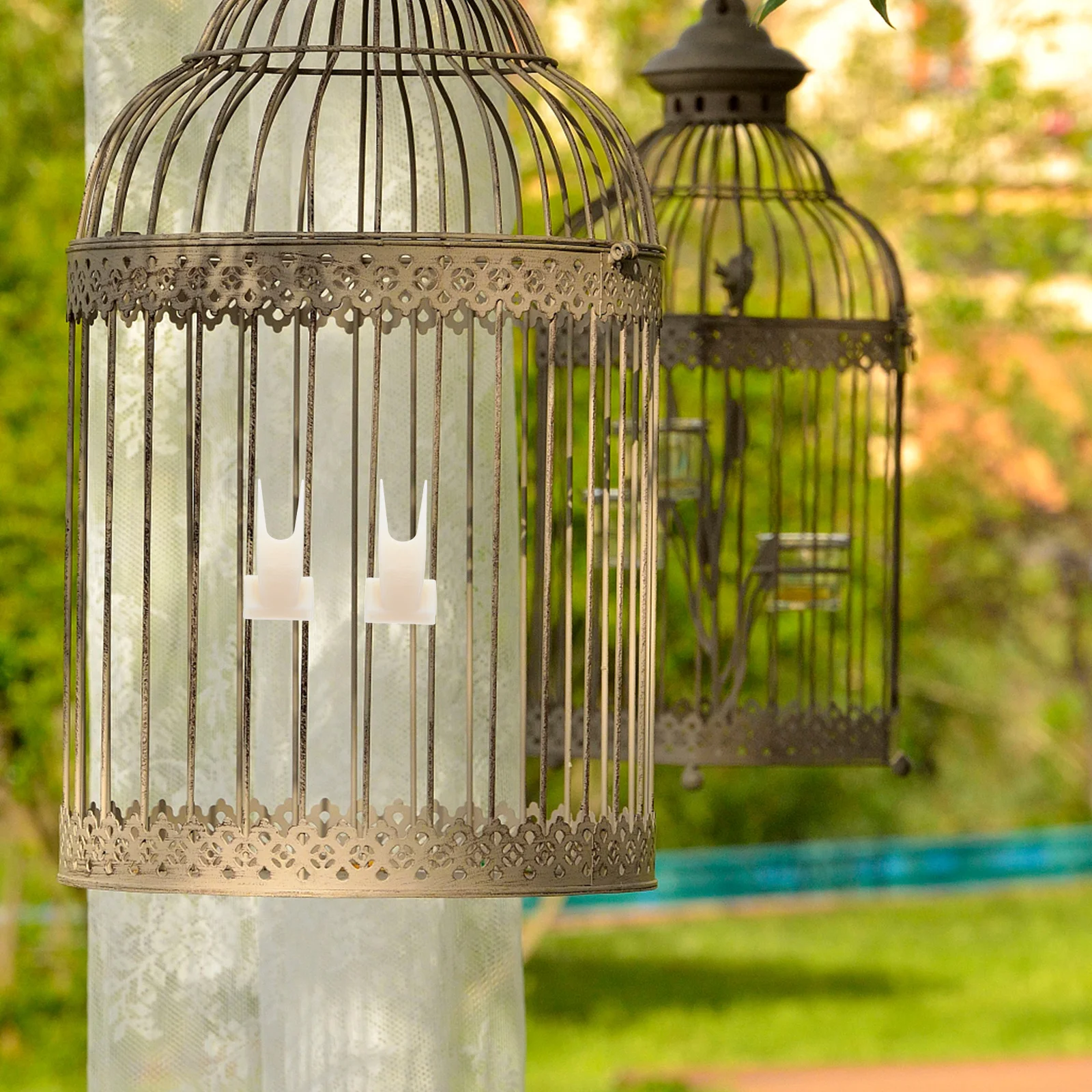 

50Pcs Parrot Cage Fruit Skewer Large Hanging Bird Fruit Fork Stable Cage Mounted Food Holder Bird Food Skewer Parakeet Feeder