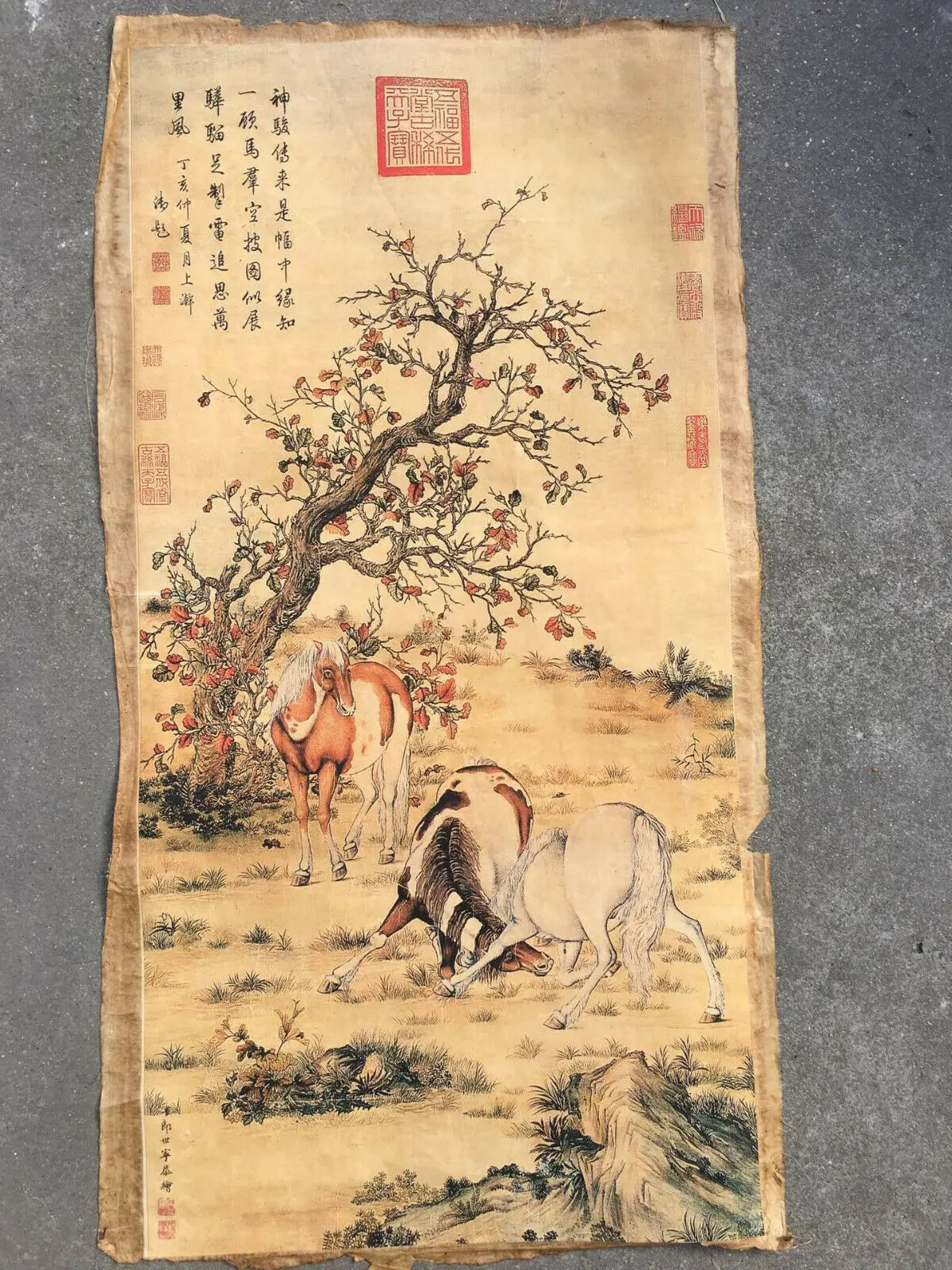 

China Old Scroll Lang Shining's Steeds Horse Painting Slice