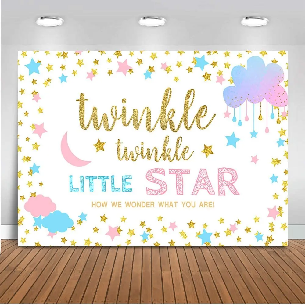 Twinkle Star Gender Reveal Decor Boy Or Girl Gender Reveal Photography Backdrop Twinkle Little Star Banner Supplies Background