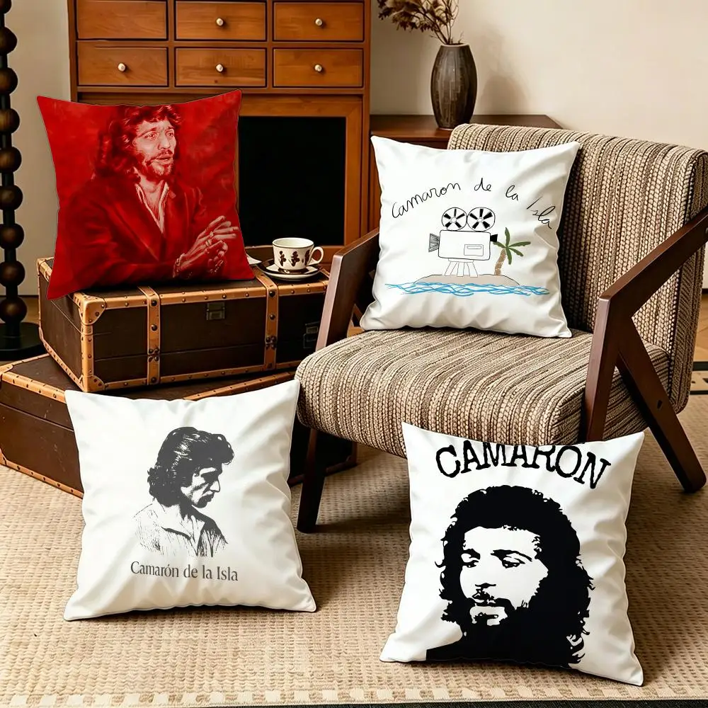 Celebrity-Camaron de la IslaS Cushion Cover Soft Velvet Cushion Cover Set 4Pcs 50x50 45x45 Zipper Pillowcase for Home Decor