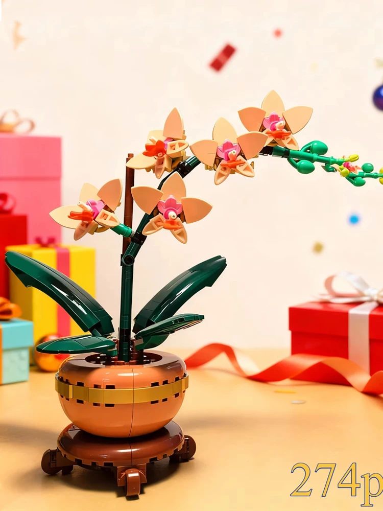売れ筋の蘭の花束、鉢植えのブロック、ティーンエイジャーと大人のための装飾品、コレクターセット、クリスマスプレゼント