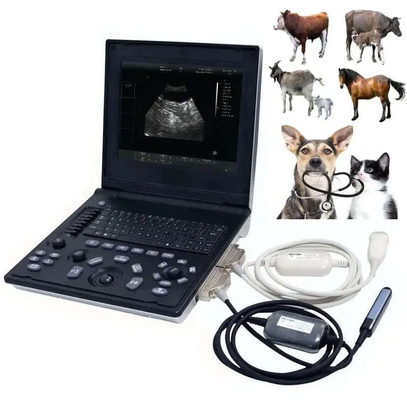 Veterinary B-Ultrasound Machine Support 7 Languages Notebook B/W Ultrasound Scanner USG With Report Page