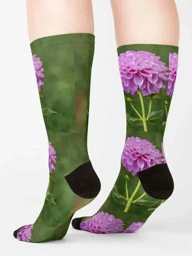 Perfect Purple Dahlia Socks designer christmas gifts tennis colored Ladies Socks Men's