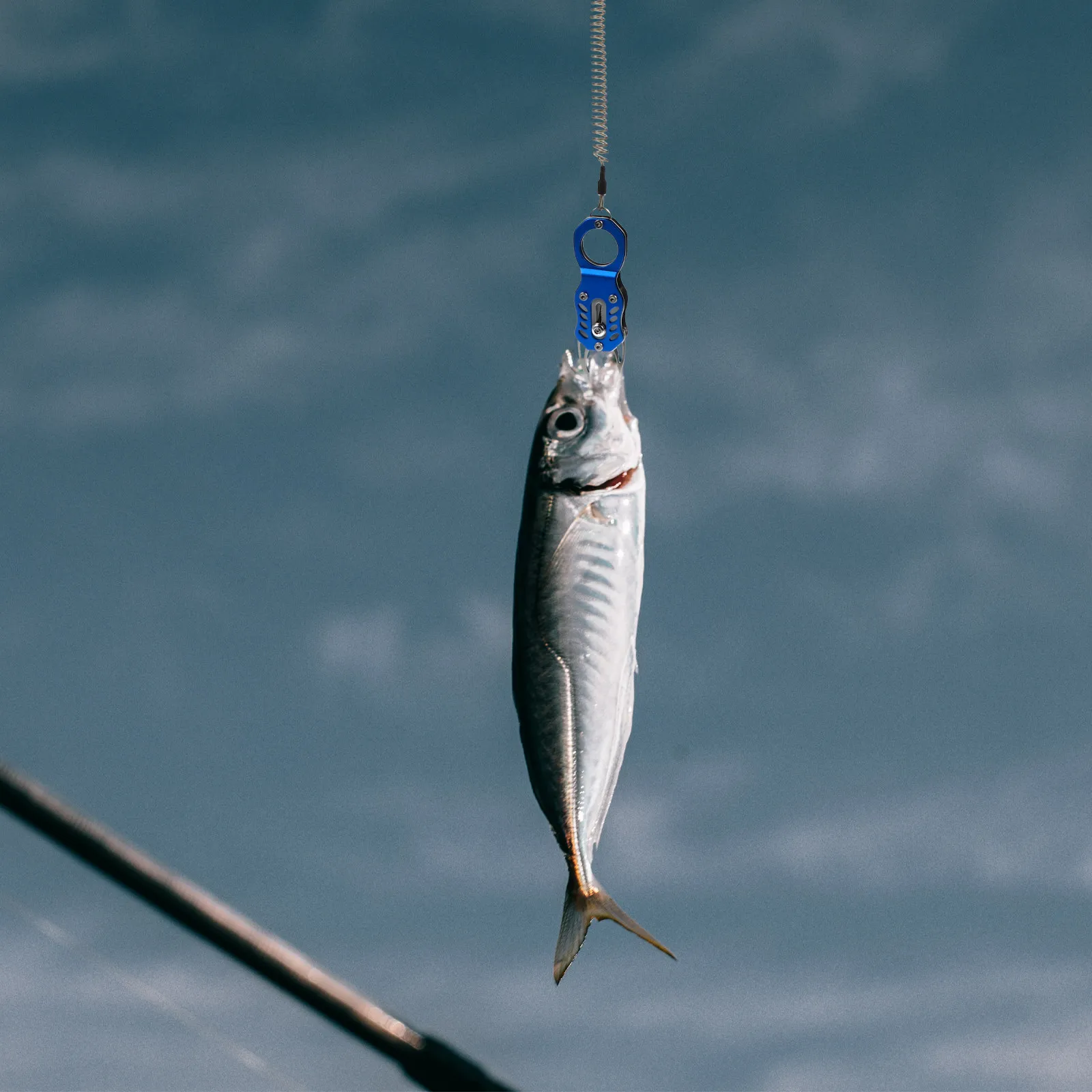 

Многофункциональный захват для рыбы из нержавеющей стали, 1 шт., прочный и практичный инструмент для рыбалки на открытом воздухе, зажим-клещи для контроля рыбы