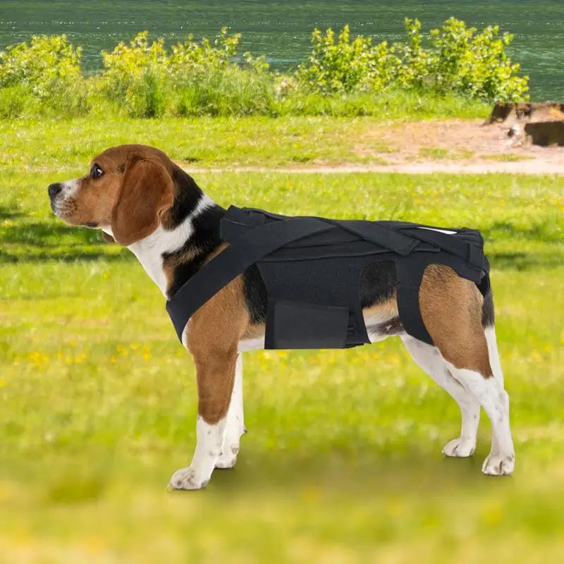 Breathable Dog Back Brace Breathable Pet Back Bracer For IVDD Back Protector Helps Injury Recovery And Rehabilitation S/M/L