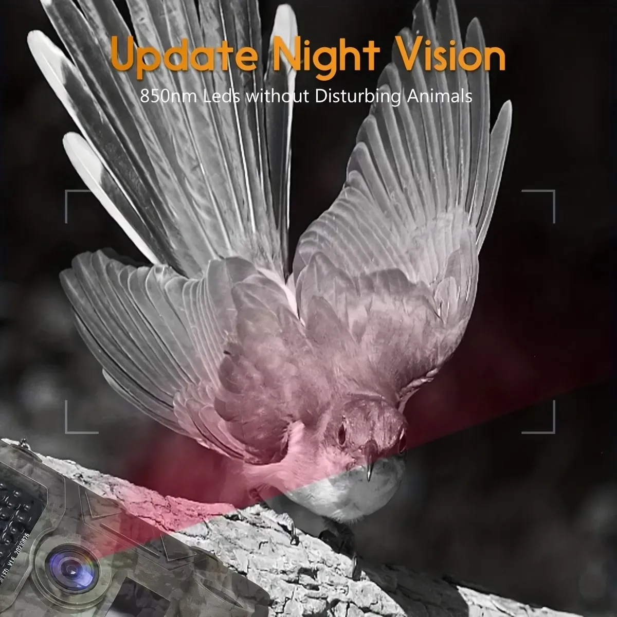 Thumbnail 3 - #7 Trending Motion Activated Wildlife Cameras Right Now