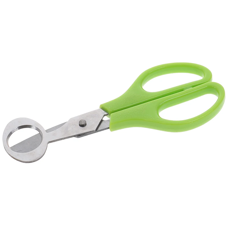 Pigeon Quail Egg Scissor Bird Cutter Opener Egg Slicers Kitchen Tool Clipper.