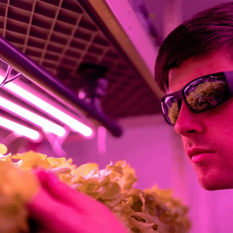 Forniture agricole per irrigazione idroponica acquaponica automatica per giardino domestico Sistema idroponico verticale completo per la coltivazione di verdure