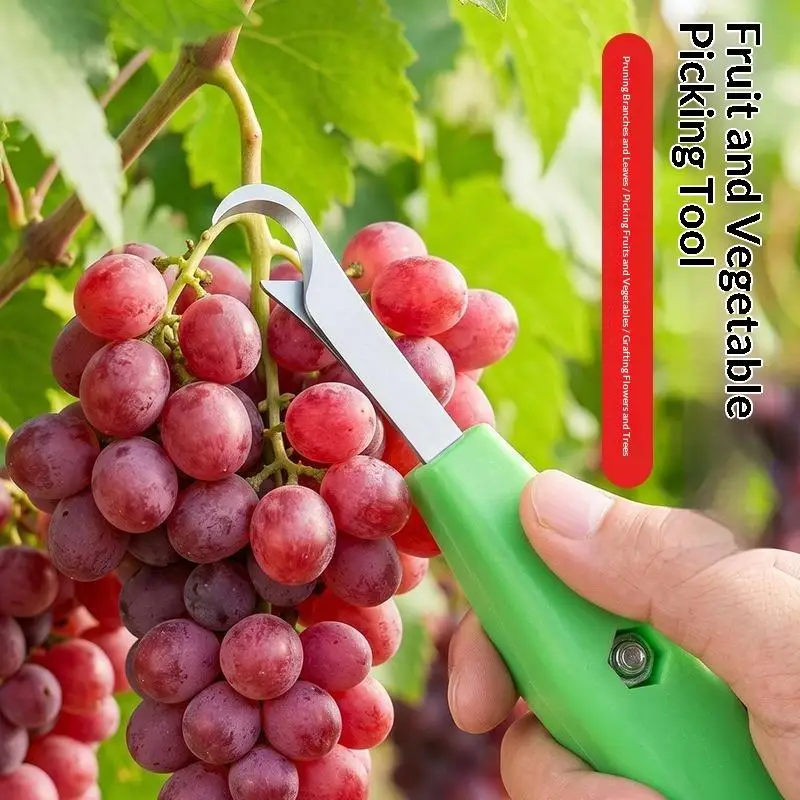 Vegetable Picking Tool Picking Shears Specifically Designed For Agricultural Fruit Labor-saving Harvest Cutter Orchard Scissors